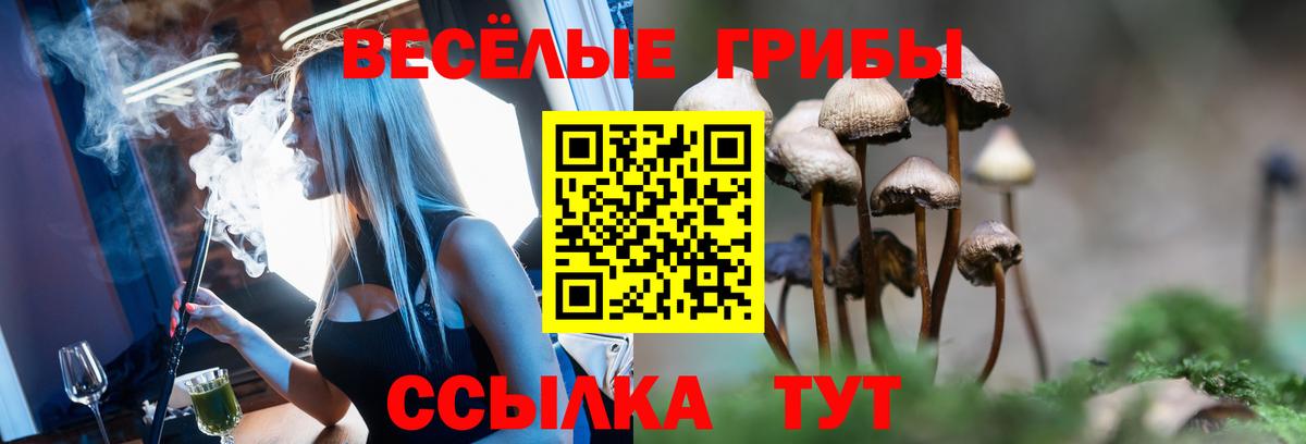Барабинск  Галлюциногенные грибы мицелий  где купить наркоту  Вход с VPN 